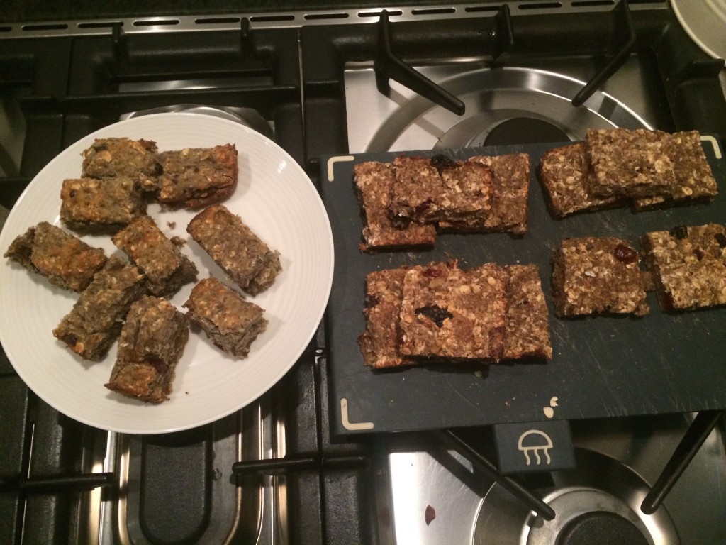 Protein snack bars